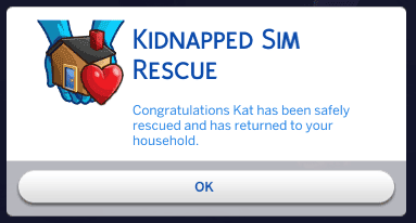 Sim kidnappers