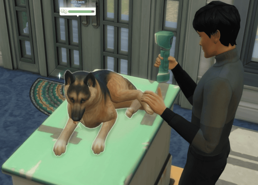 How to Age Up Dogs in Sims 4